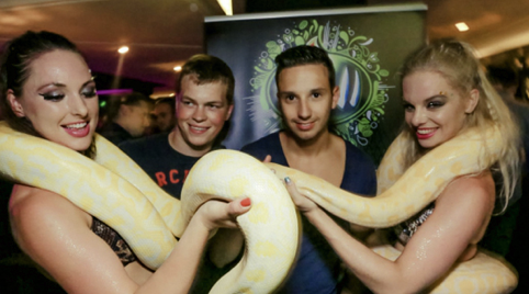Slangenbezweerder Eindhoven