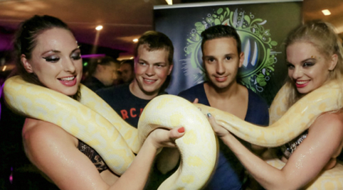 Danseres met slang op feesten