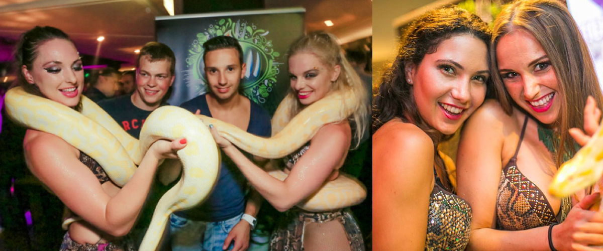 Slangenbezweerster op feest
